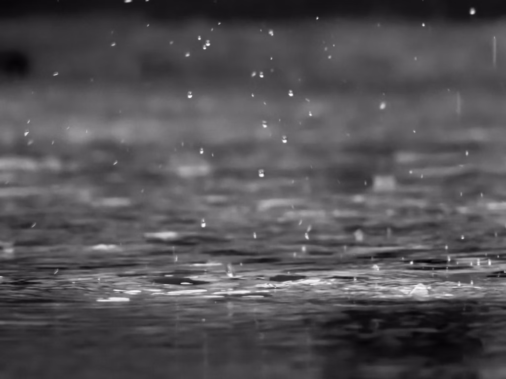 Should You Move During Hurricane Season in Southwest Florida?