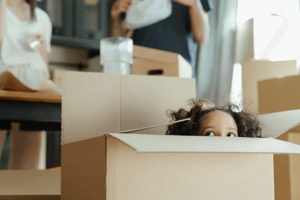 What Should You Do With Kids and Pets on Moving Day? A Southwest Florida Family’s Guide
